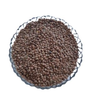 عدس ریز اردبیل