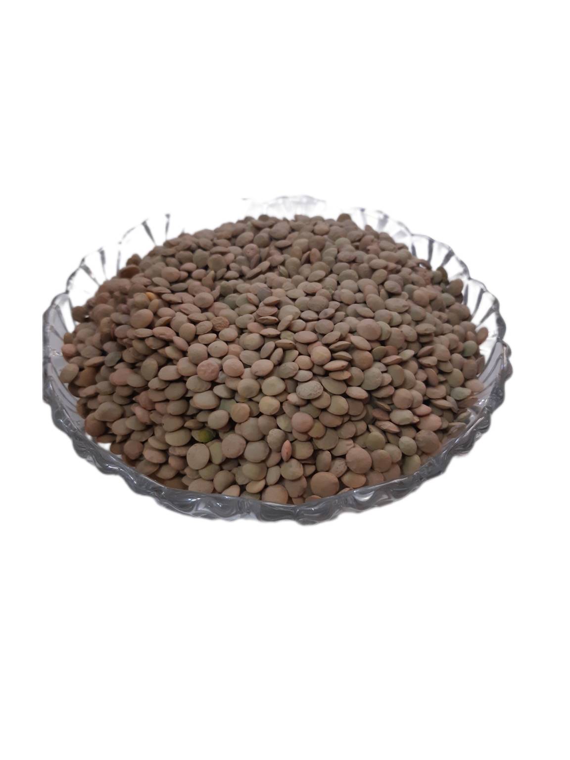 عدس ریز اردبیل