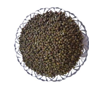 ماش خارجی درشت