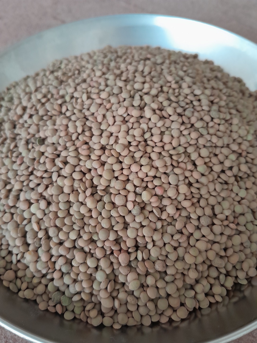 عدس ریز 900 گرمی