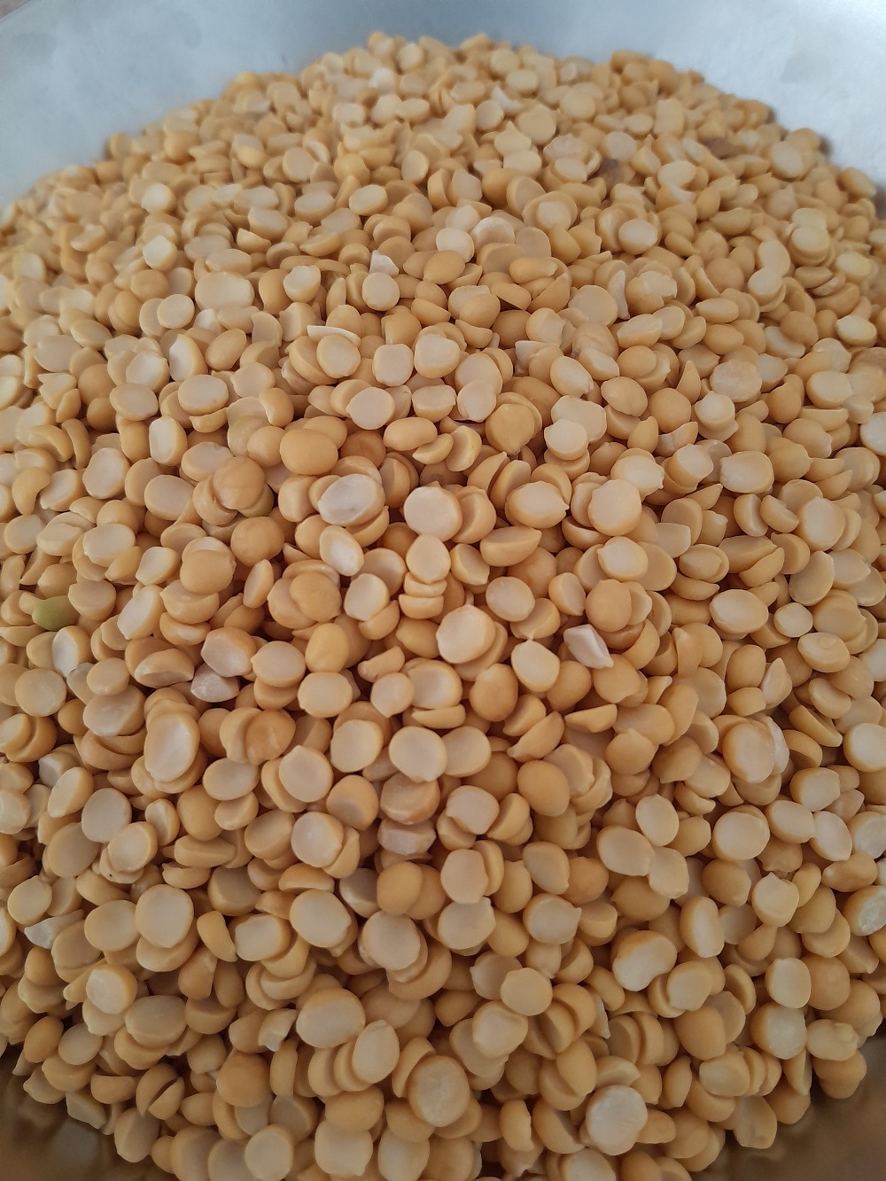 لپه 900 گرمی