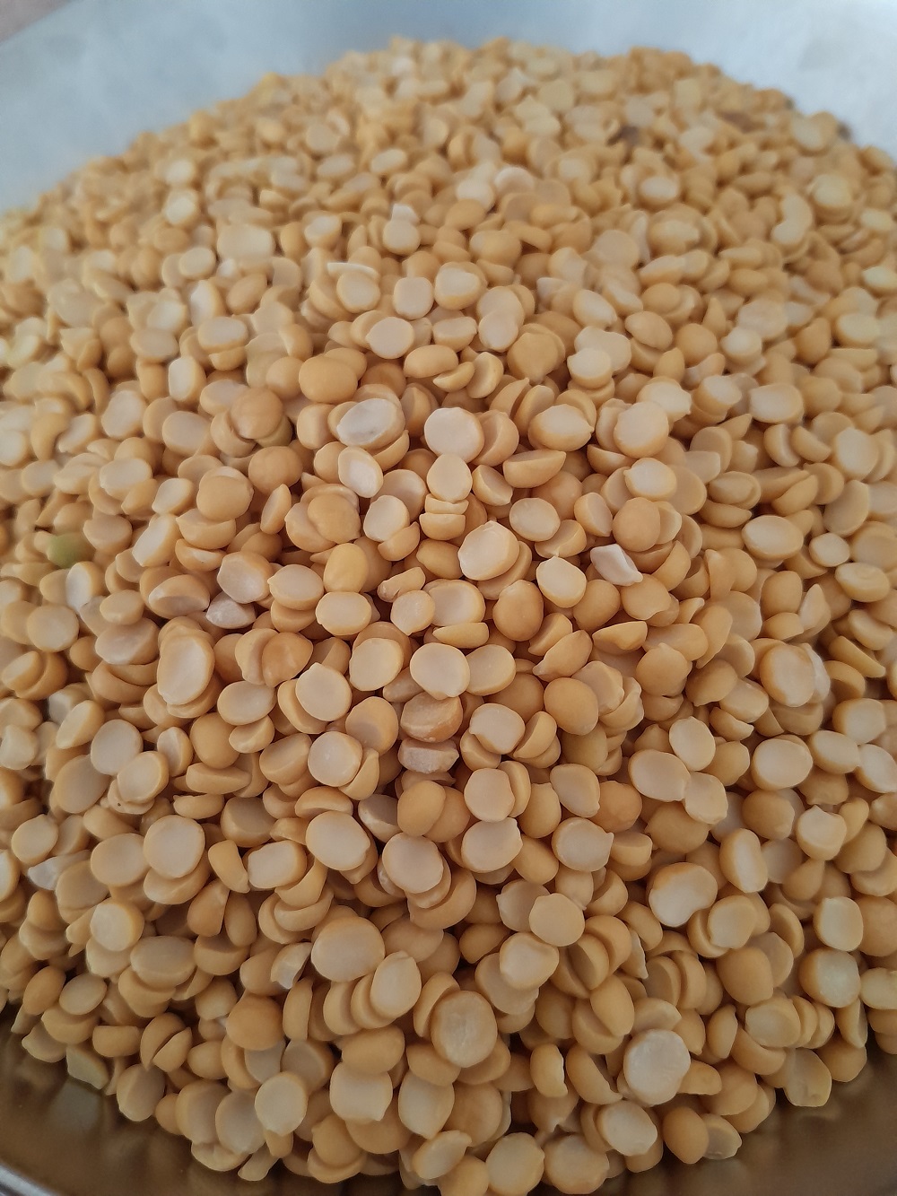 لپه 900 گرمی