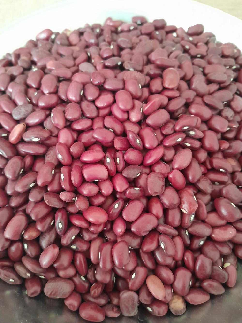 لوبیا قرمز 900 گرمی
