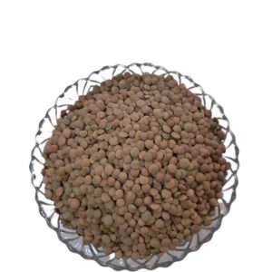 عدس درشت اردبیل