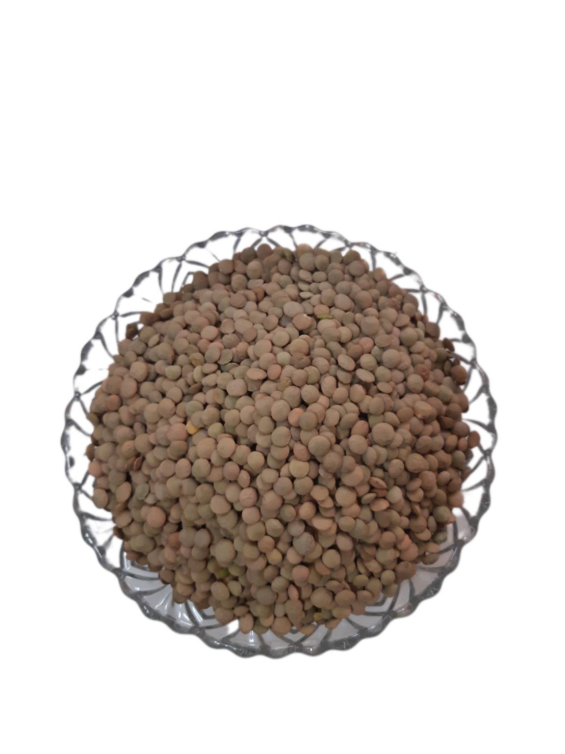 عدس درشت اردبیل