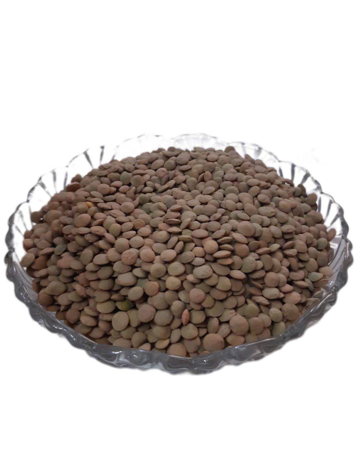 عدس درشت اردبیل