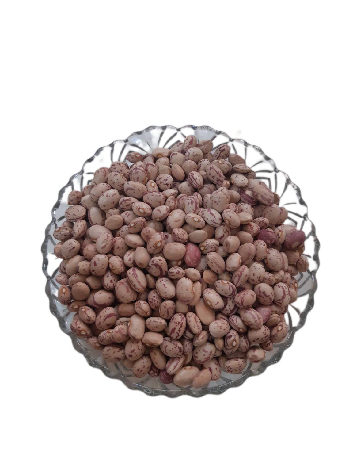 لوبیا چیتی اقلید