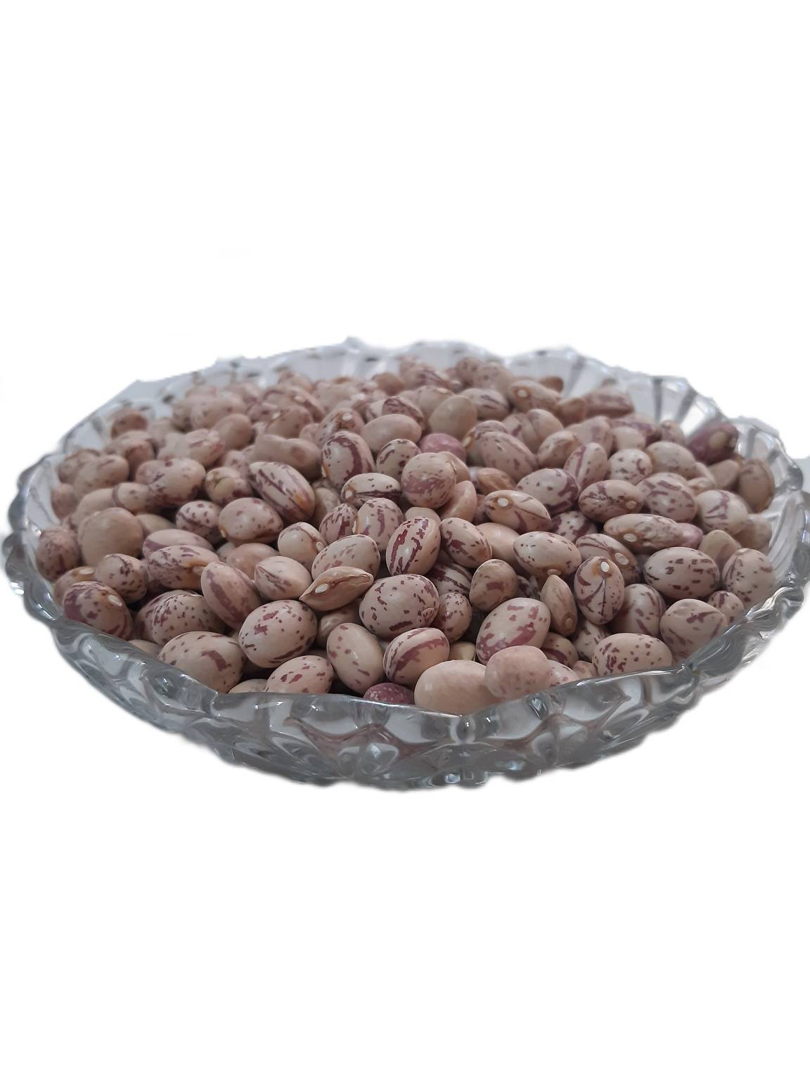 لوبیا چیتی اقلید