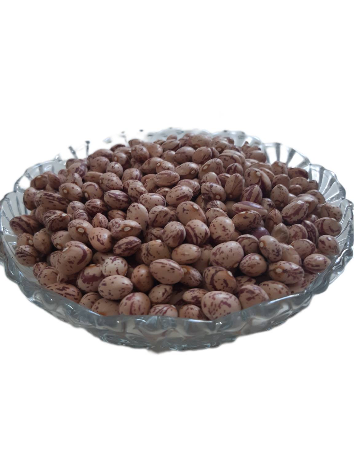 لوبیا چیتی شیرازی